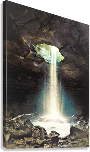 2459 Canvas Print