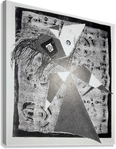 2460 Canvas Print