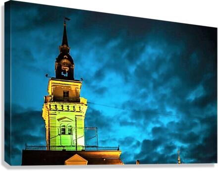 2463 Canvas Print