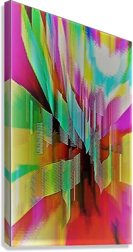 2474 Canvas Print