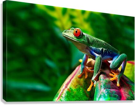 2477 Canvas Print