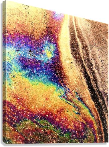 2478 Canvas Print