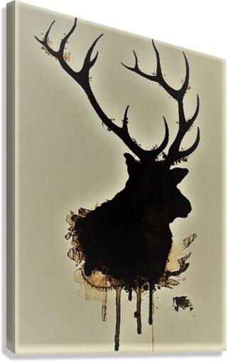 2479 Canvas Print