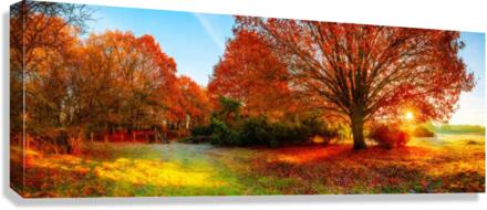 2482 Canvas Print