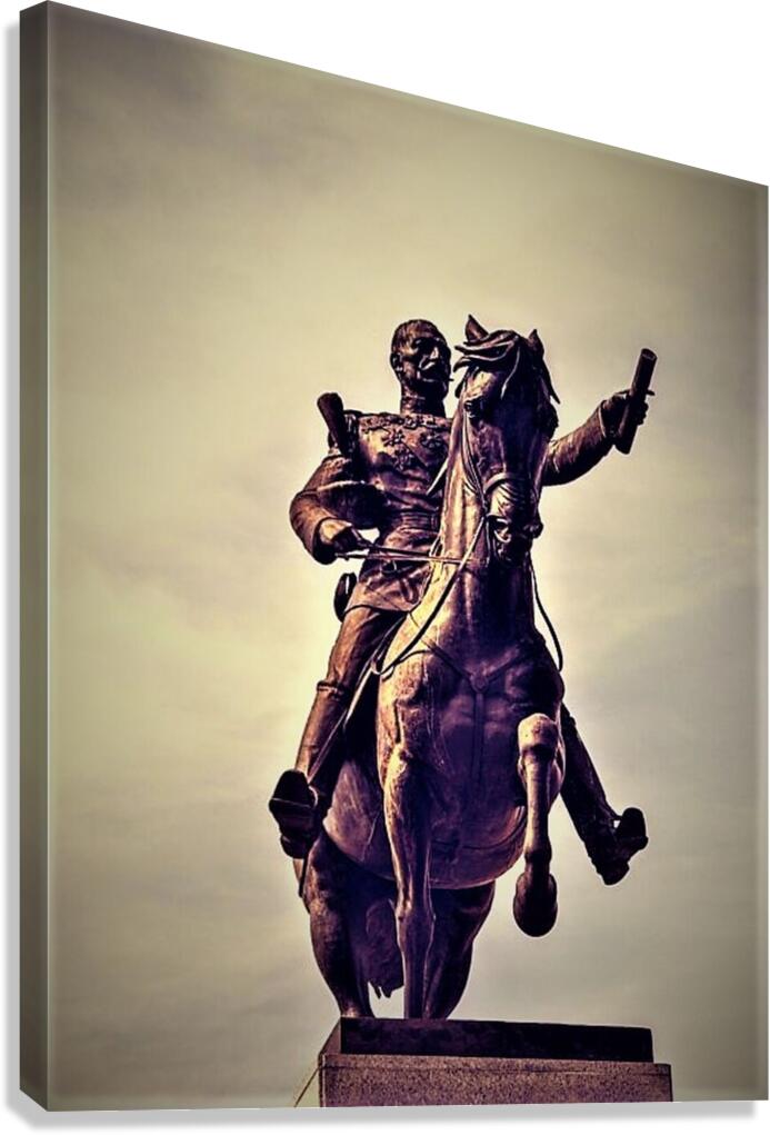 2488 Canvas Print