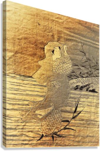 2491 Canvas Print