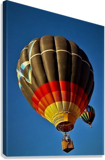 2492 Canvas Print
