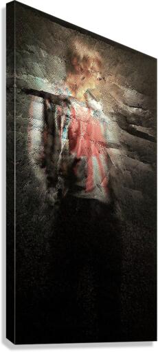 2493 Canvas Print