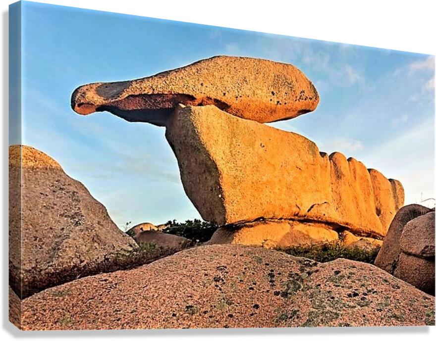 2498 Canvas Print