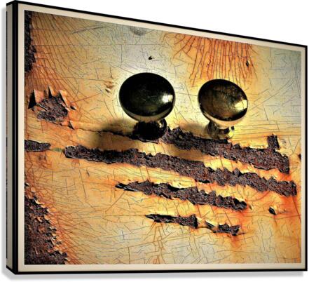 2514 Canvas Print