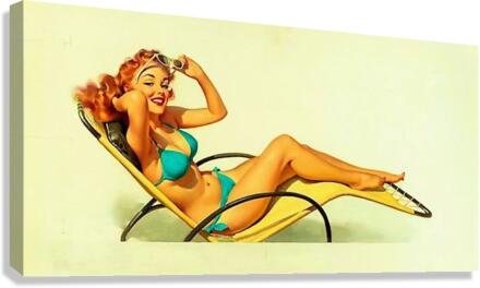2528 Canvas Print