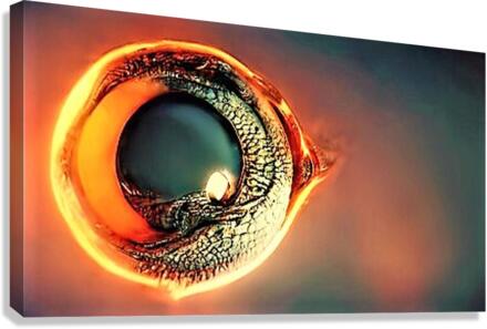 2530 Canvas Print