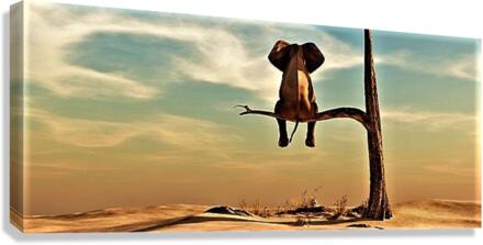 2536 Canvas Print