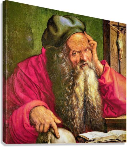 2542 Canvas Print