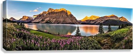 2543 Canvas Print