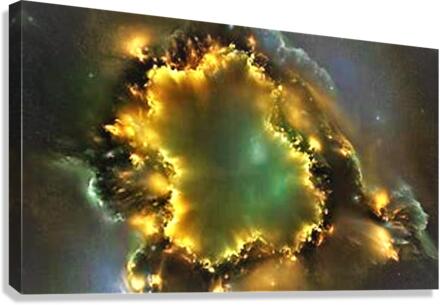 2544 Canvas Print