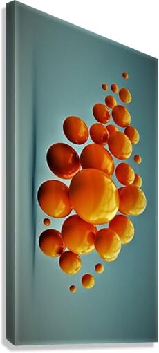 2547 Canvas Print