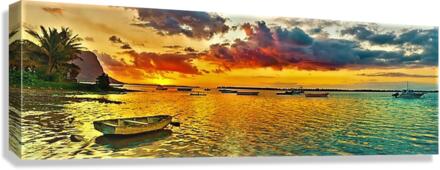 2551 Canvas Print