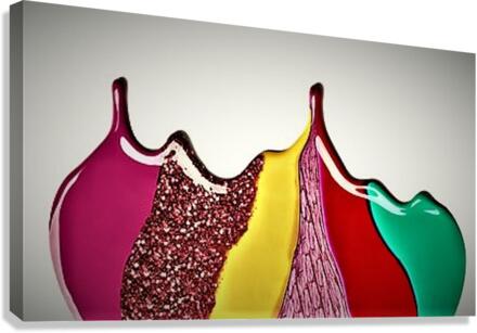 2558 Canvas Print
