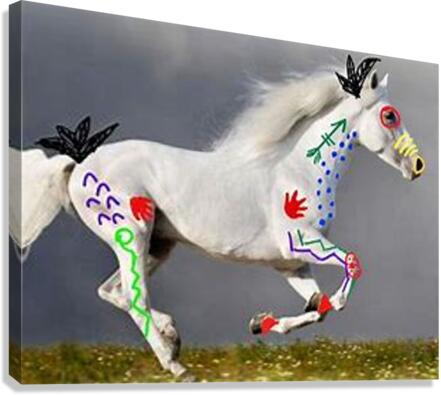 2560 Canvas Print