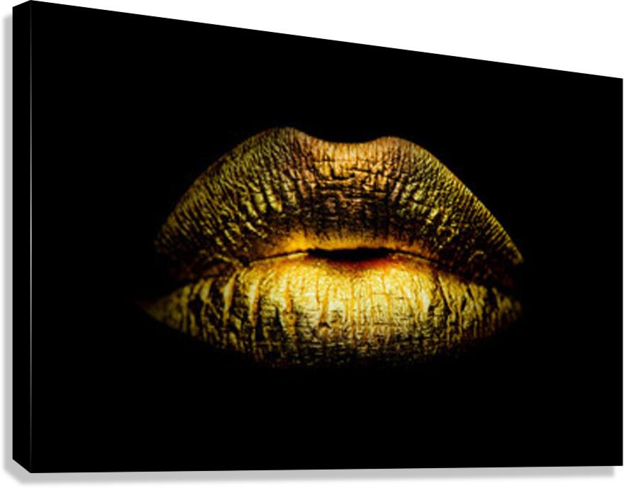 2561 Canvas Print