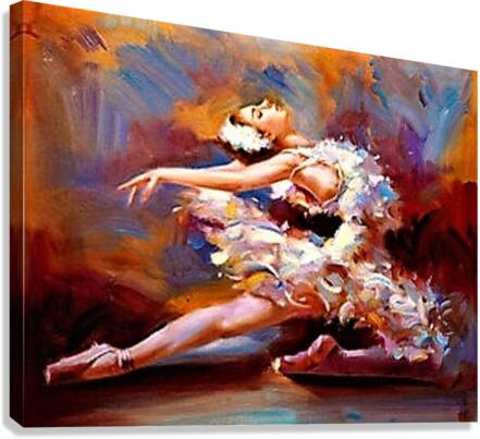2563 Canvas Print