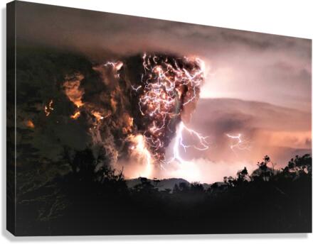 2565 Canvas Print