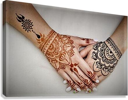 2570 Canvas Print