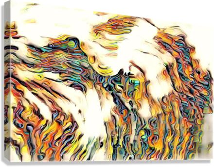 2576 Canvas Print