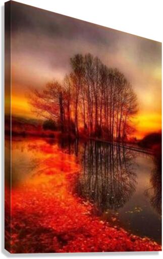 2578 Canvas Print