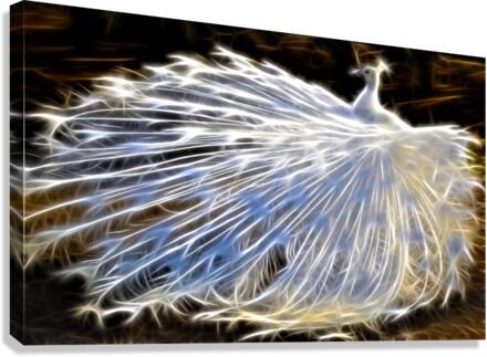 2595 Canvas Print