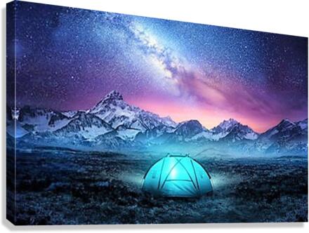 2596 Canvas Print