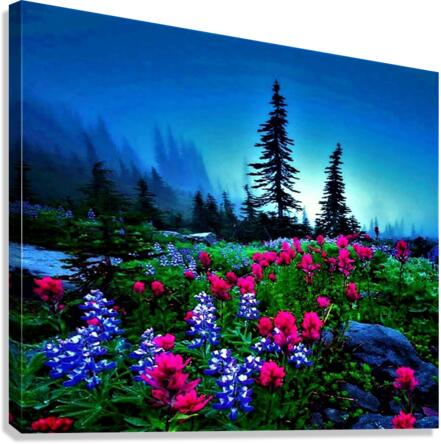 2598 Canvas Print