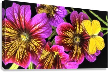 2610 Canvas Print