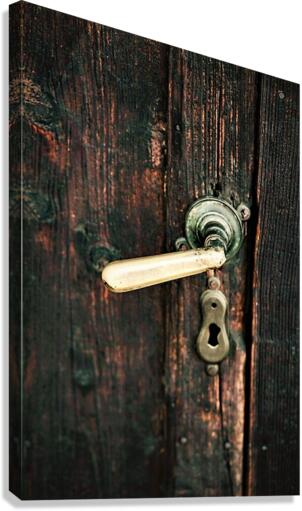 2608 Canvas Print
