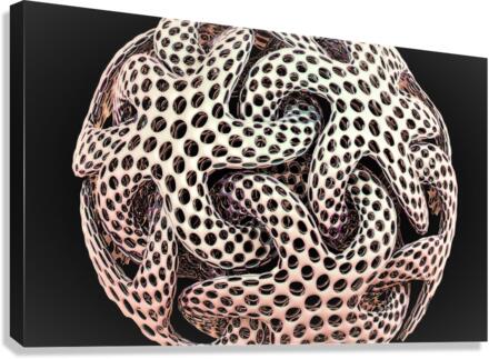 2622 Canvas Print