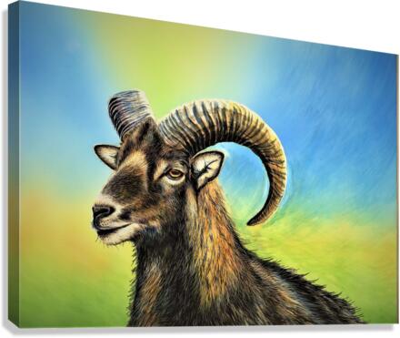 2640 Canvas Print