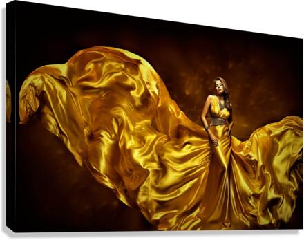 2642 Canvas Print
