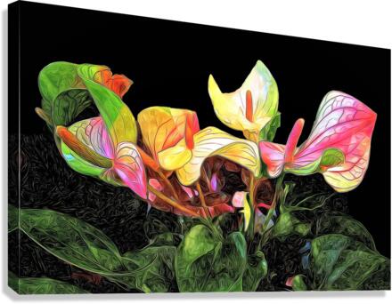 2643 Canvas Print