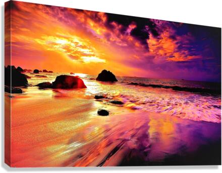 2647 Canvas Print