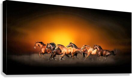 2662 Canvas Print