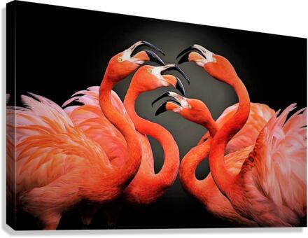 2669 Canvas Print