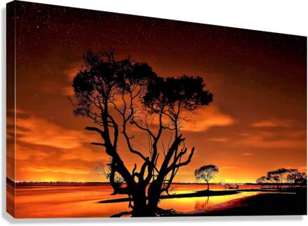 2671 Canvas Print