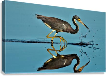 2682 Canvas Print