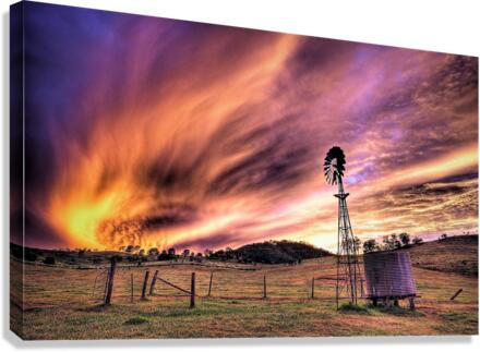2683 Canvas Print