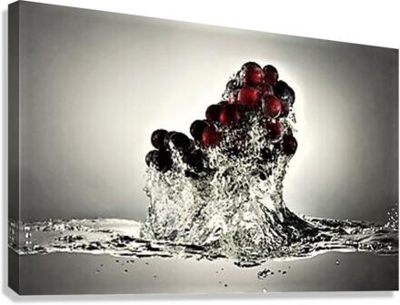 2688 Canvas Print