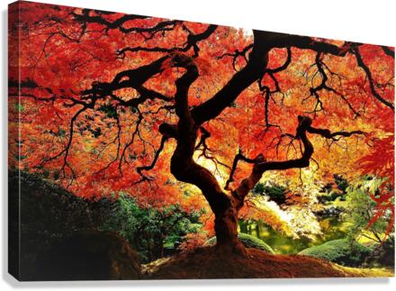 2696 Canvas Print