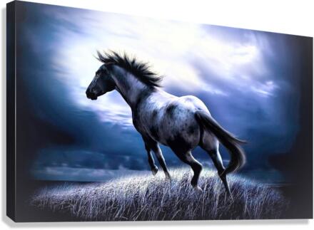 2700 Canvas Print