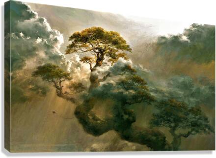 2714 Canvas Print