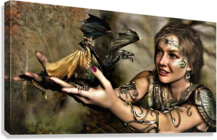 2717 Canvas Print